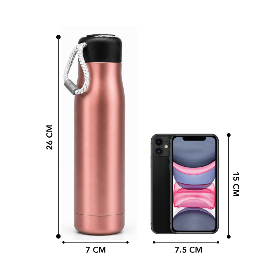 Metallic Brown | Insulated Bottle