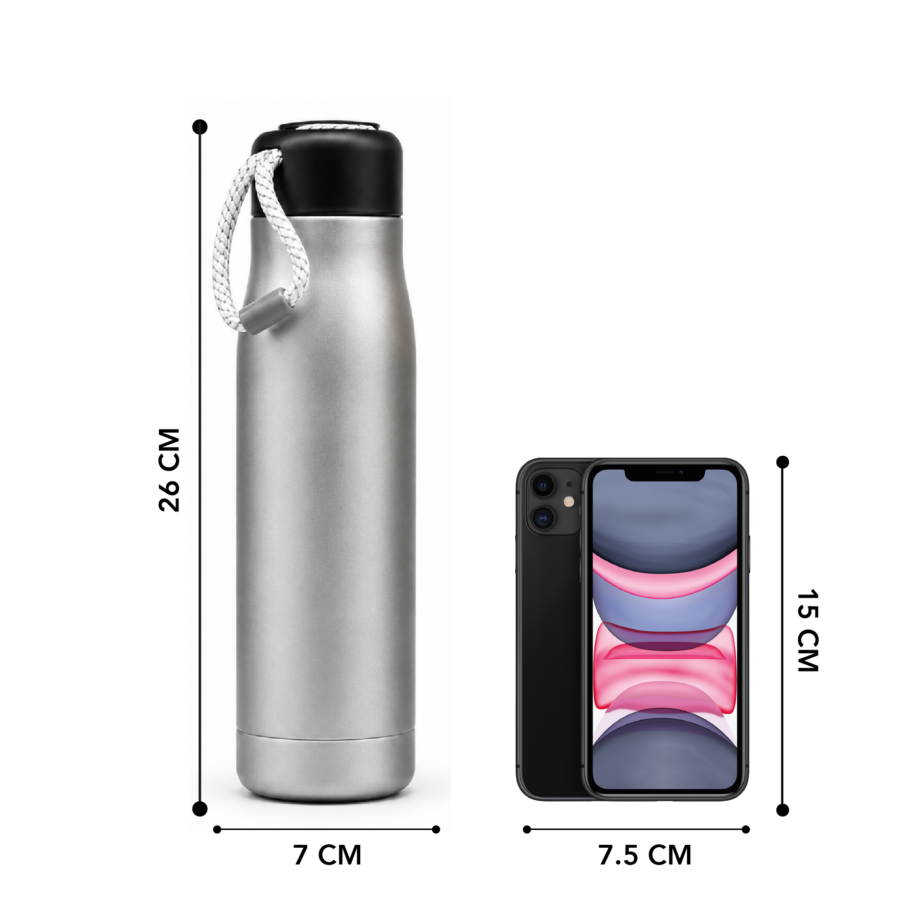 Metallic Silver | Insulated Bottle